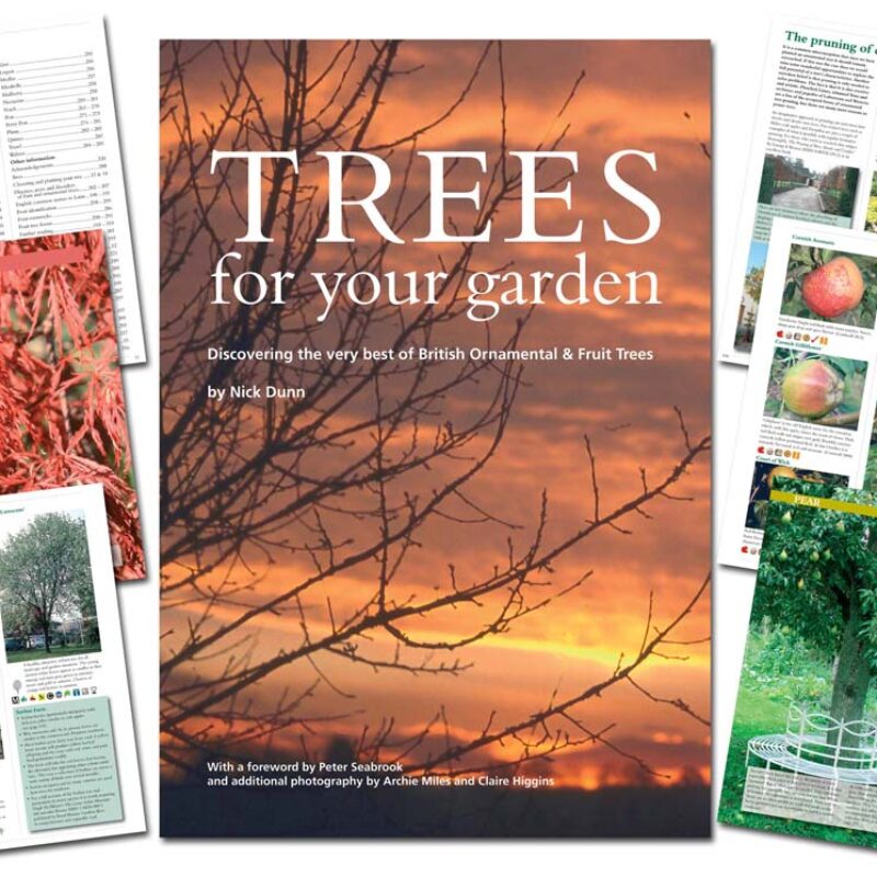 Trees For Your Garden