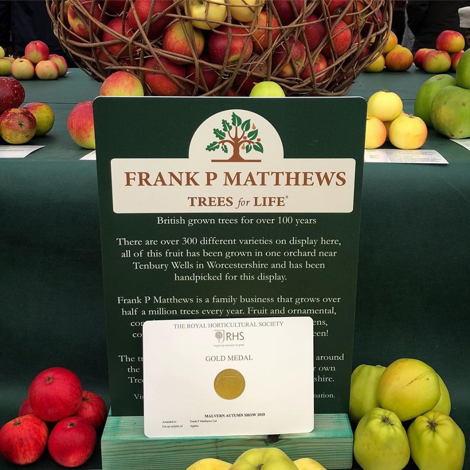 Gold Medal for Frank P Matthews at RHS Autumn Show 2