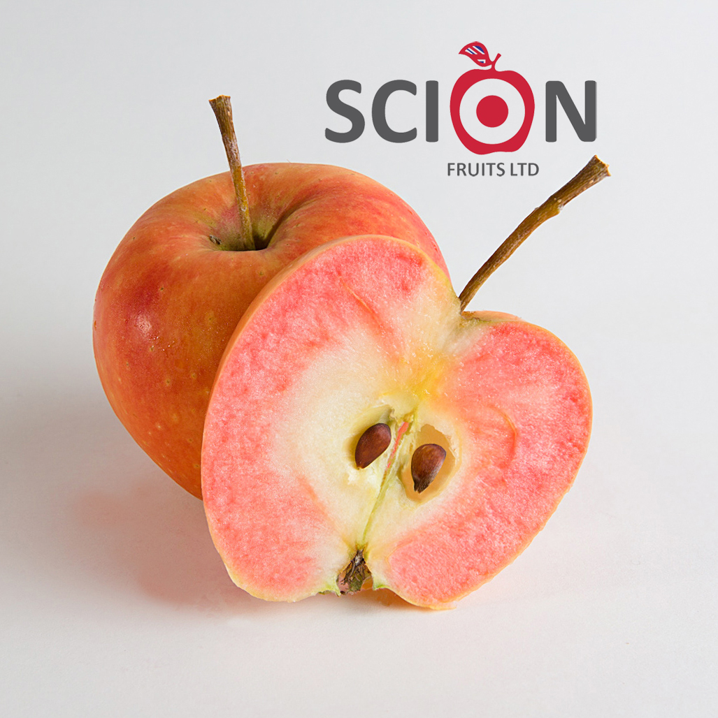 Scion Fruits