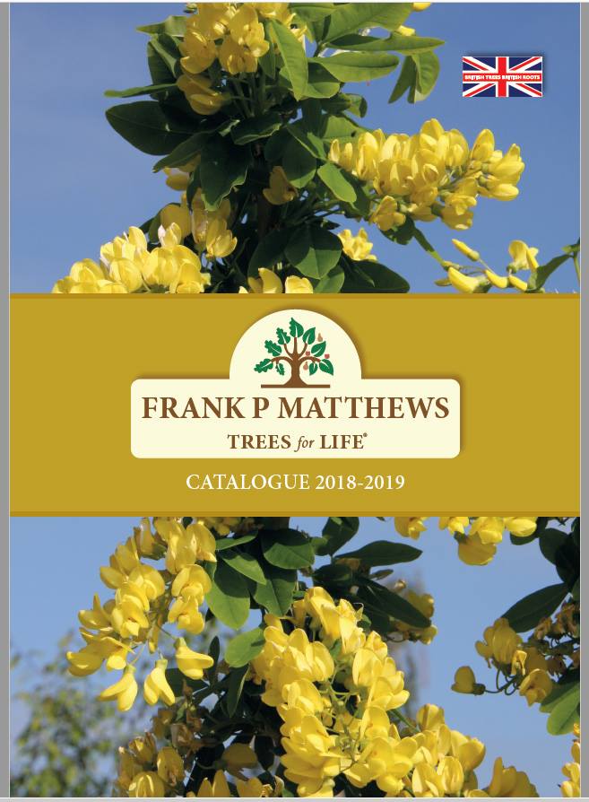 2018/19 Catalogue