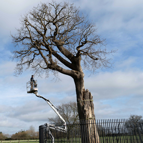 Nick Dunn from Frank P Matthews helps save Royal Oak