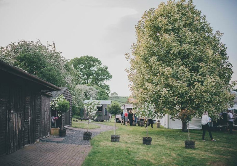 Tree Hire 1