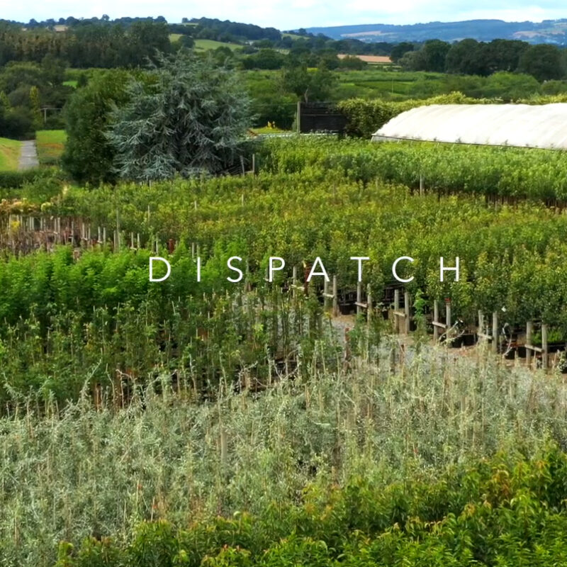 Dispatch 2019 at Frank P Matthews
