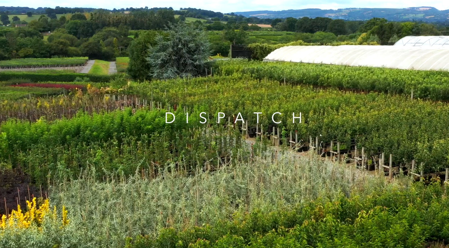 Dispatch 2019 at Frank P Matthews