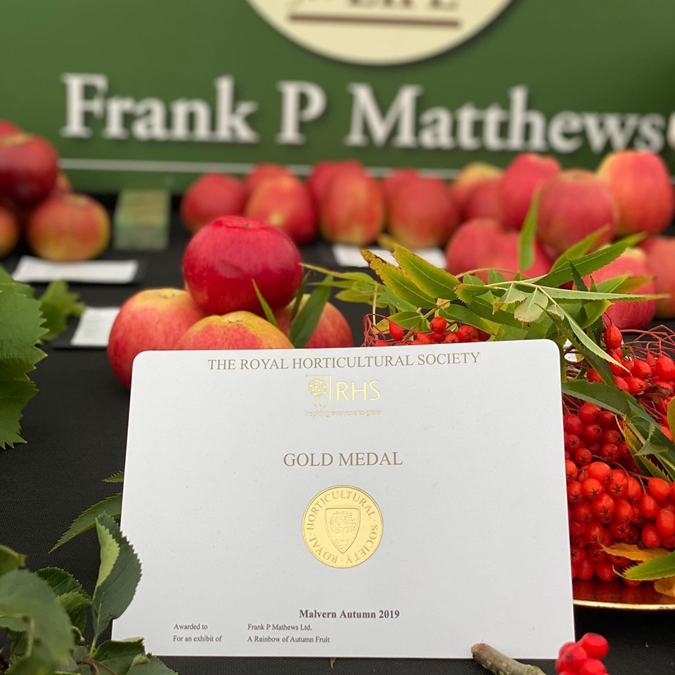 We WON an RHS Gold Medal at Malvern Autumn Show 2019!!