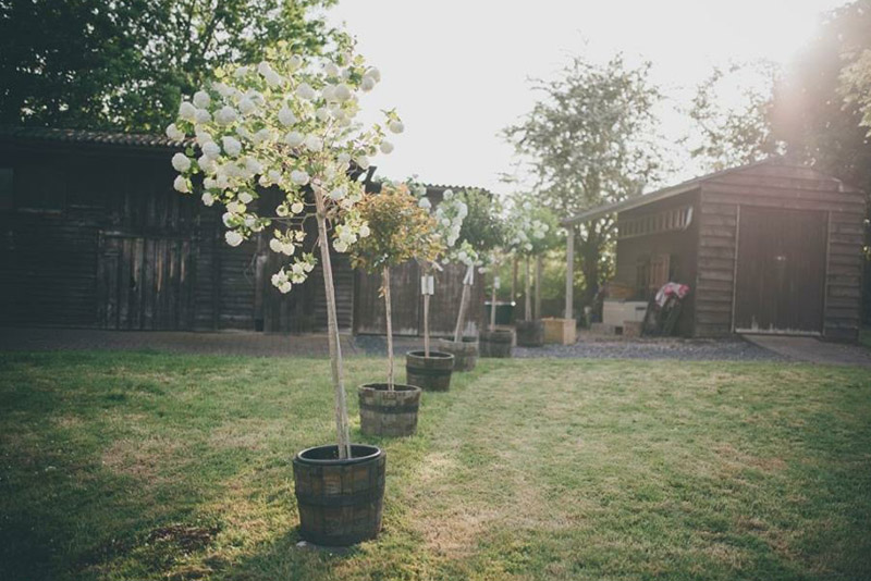 Tree Hire