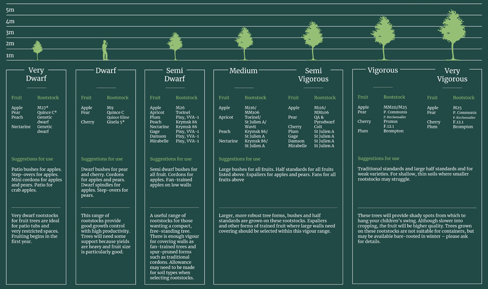 Rootstocks Chart