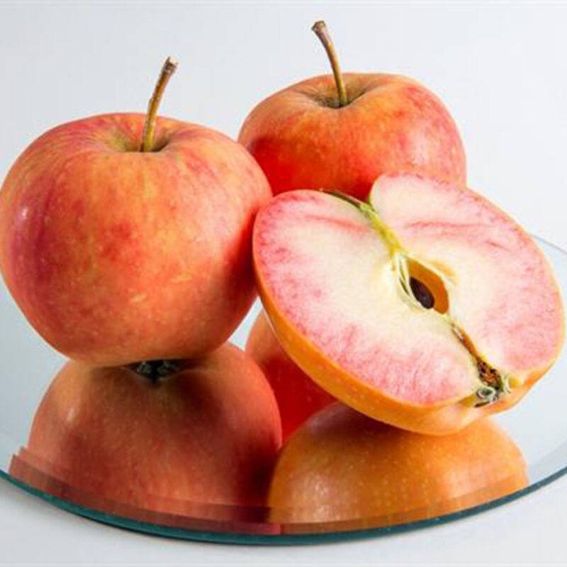 'Sunburst' apples to be commercially grown in UK 2
