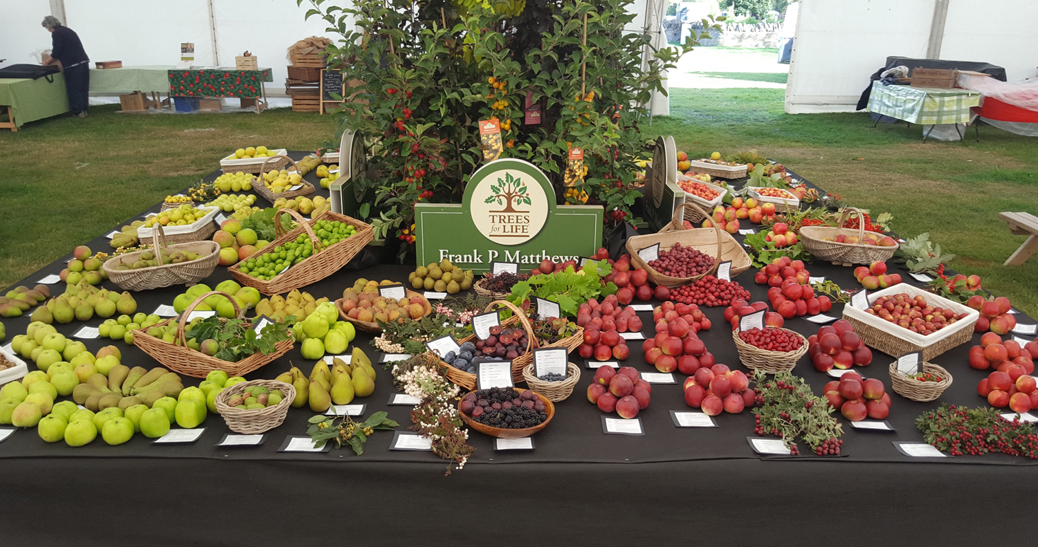 Frank P Matthews Win RHS Award for Fruit Exhibit