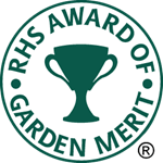 See RHS Award of Garden Merit (AGM) plant, fruit & veg award winners / RHS  Gardening