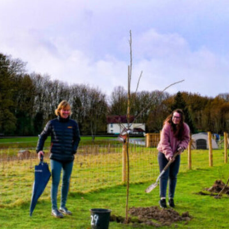 FPM Trees Planted at Moreton Hall School