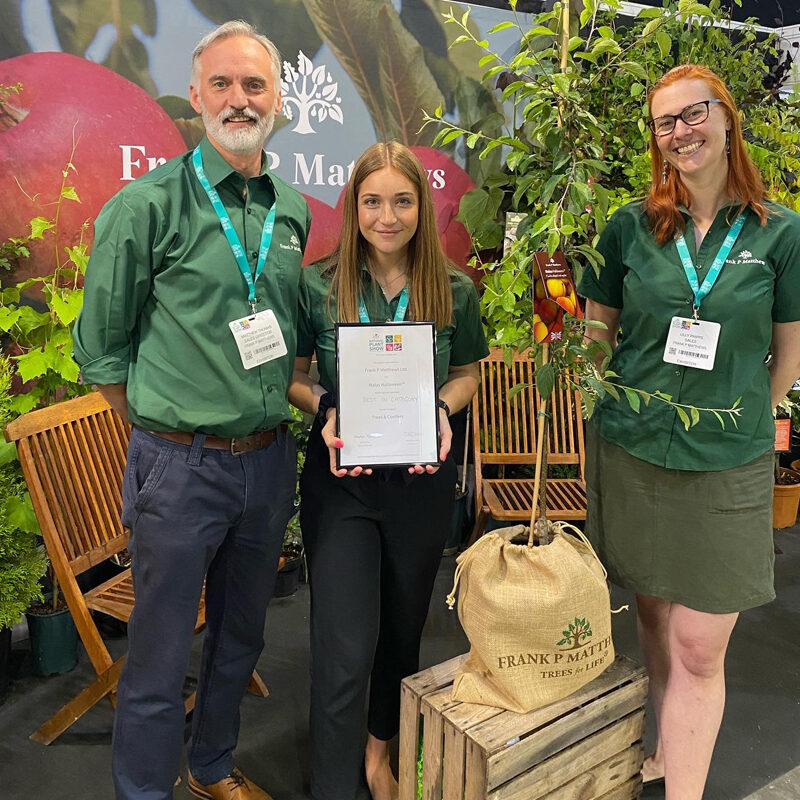 Malus Halloween™ WINS New Plant Award at HTA Show 2022