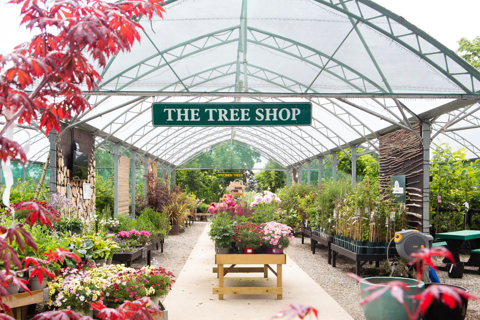 The Tree Shop is OPEN this weekend 3rd/4th June Frank P Matthews