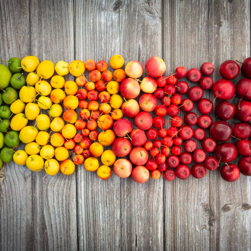 A photo to illustrate the range of beautiful colours of crab apples