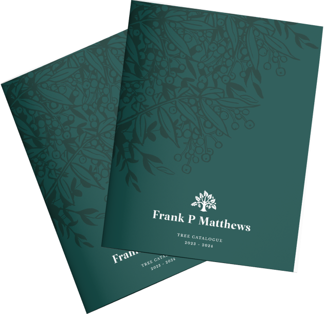 Catalogue Frank P Matthews Buy Quality Trees Online
