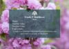 Voucher Option 6