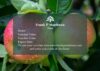 Voucher Option 7