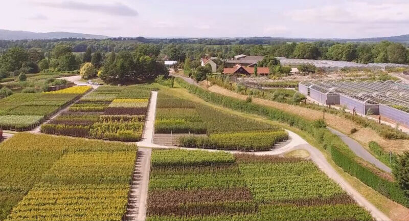 Sustainability at Frank P Matthews