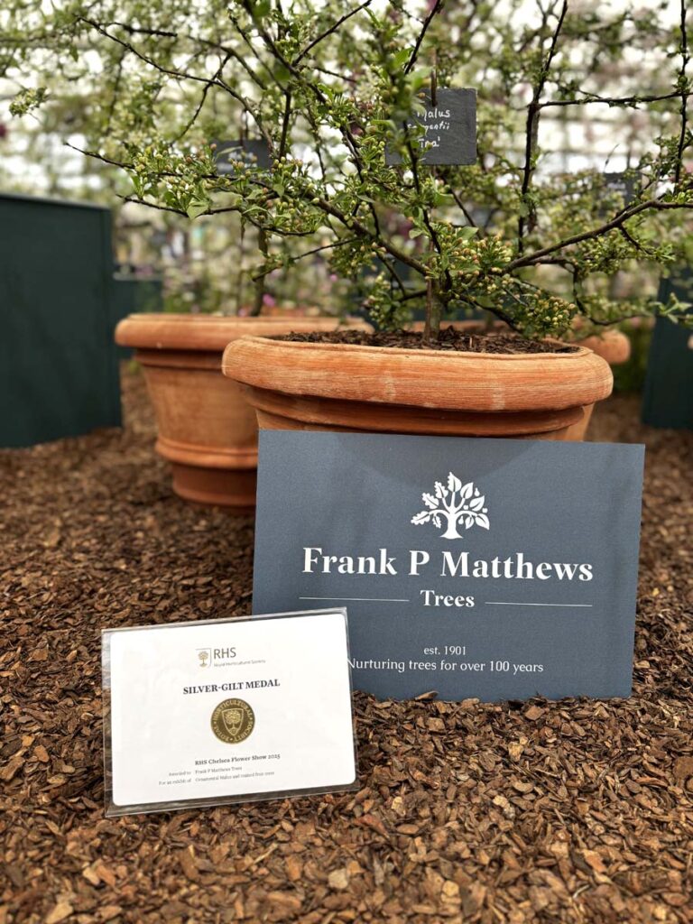 Silver-Gilt Medal at RHS Chelsea Flower Show 2025