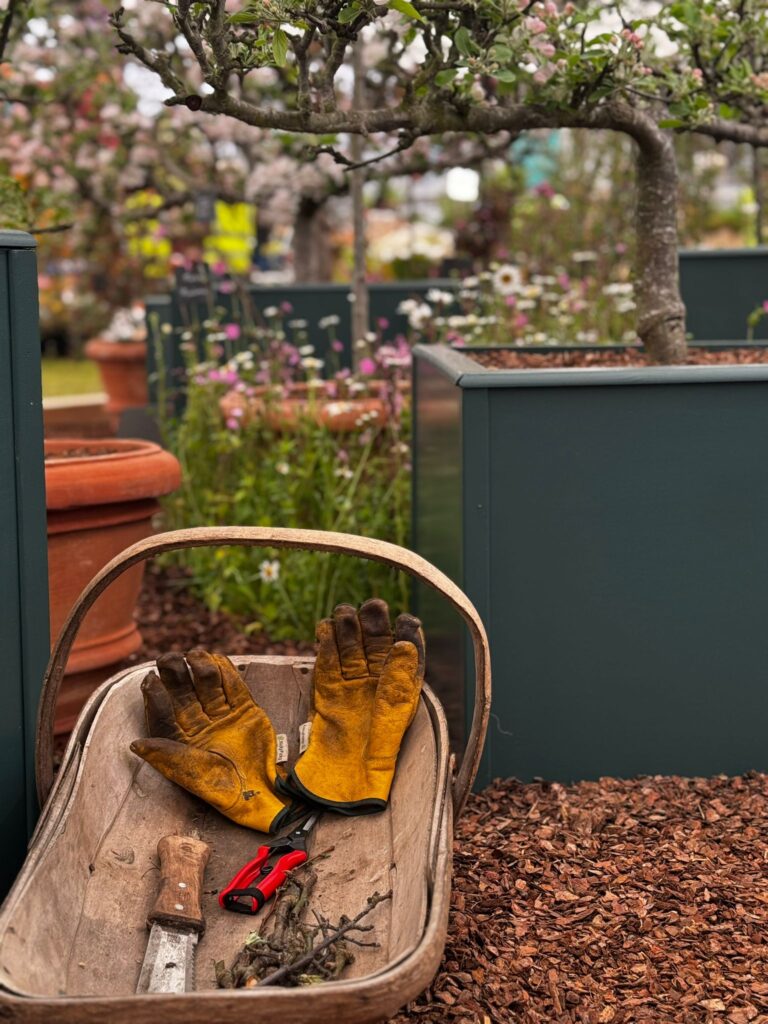 Trained Trees – Pruning Course