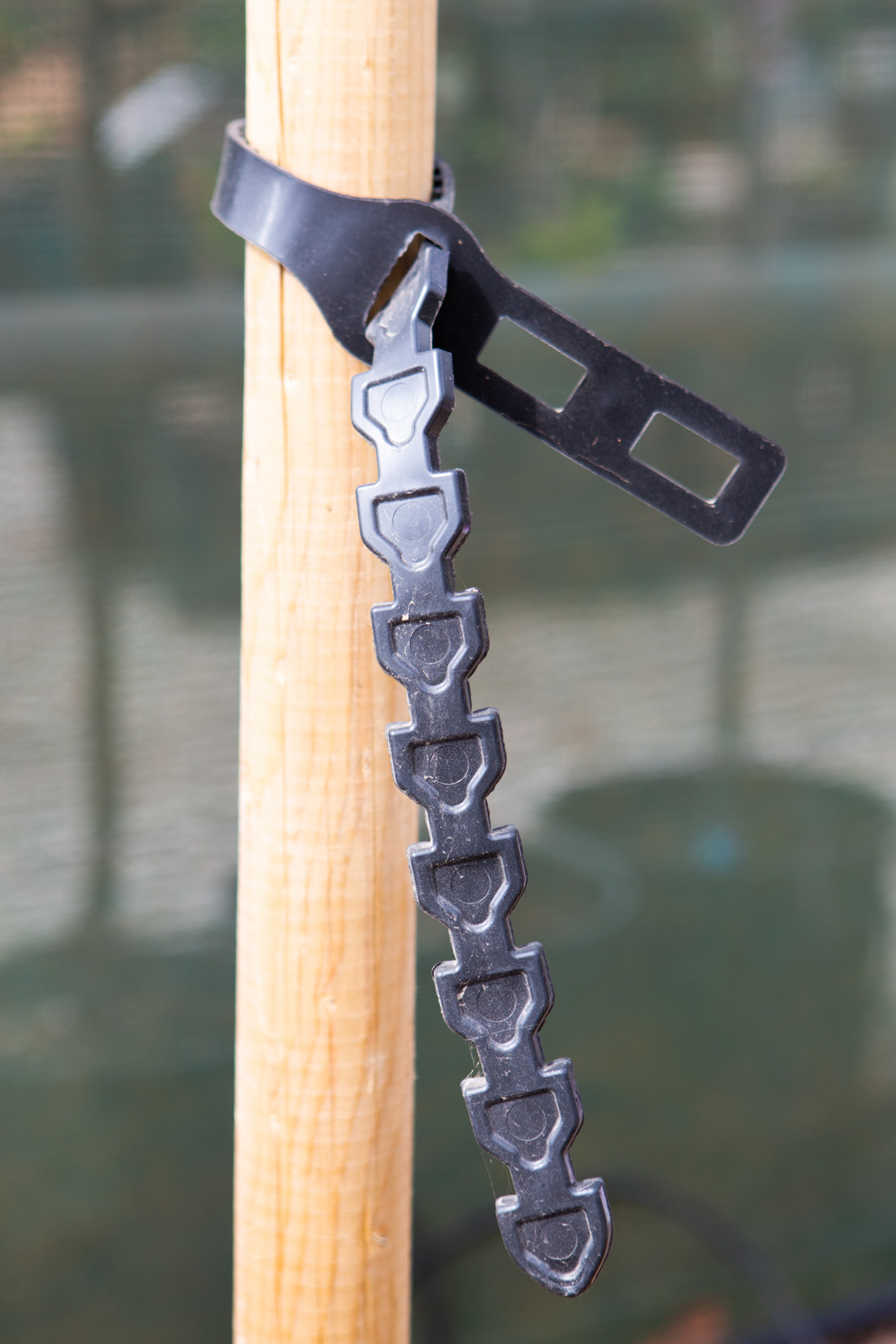 Stake and Tie Planting Kit
