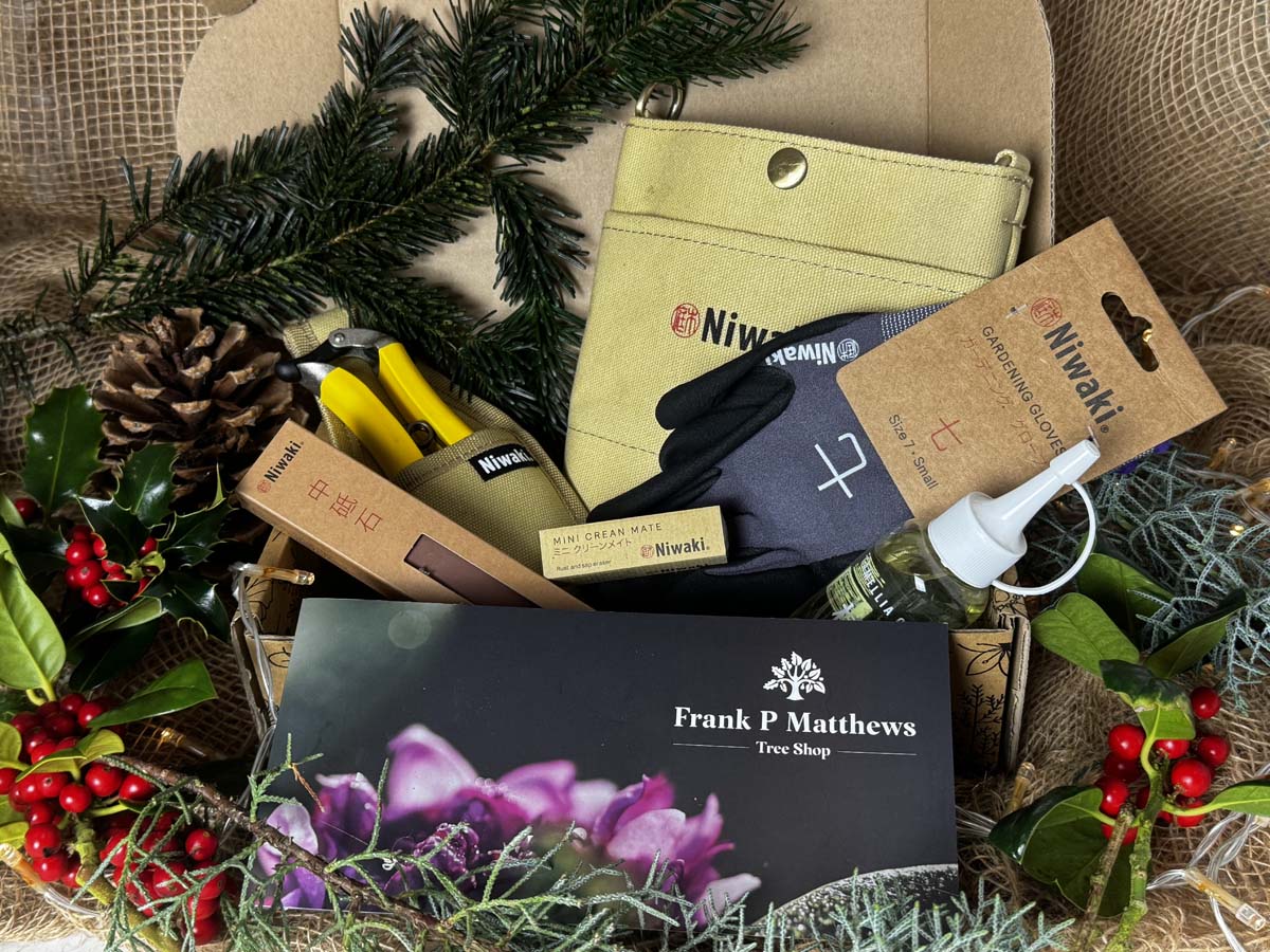 Tree Lover’s Gift Box