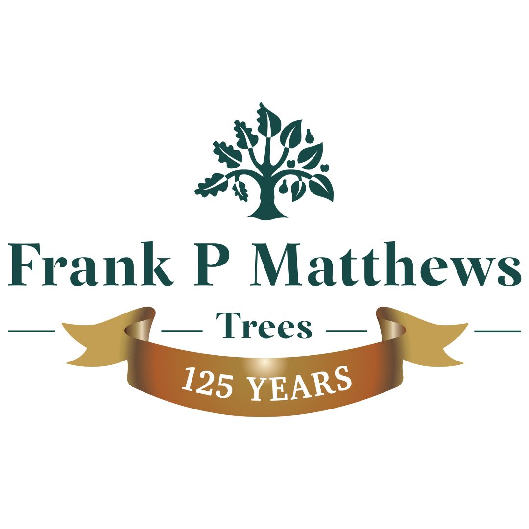 125th Anniversary